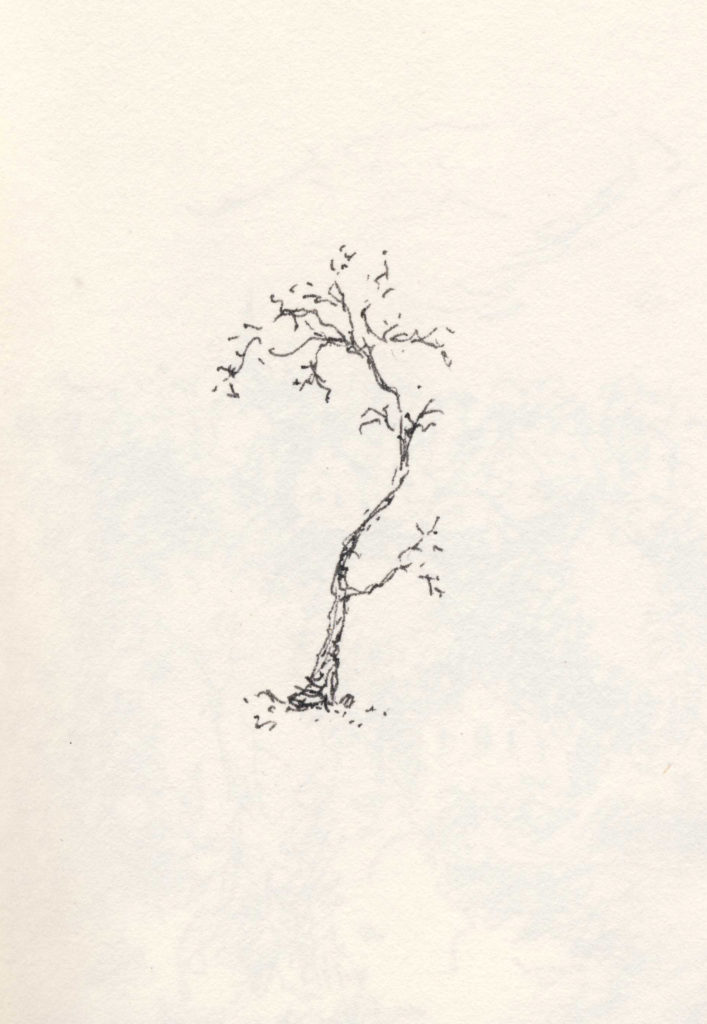 little inky tree • pen en inkt • gemaakt door JWH
